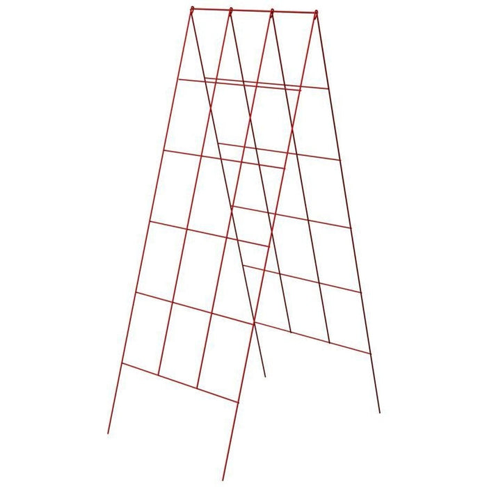 A Frame Trellis