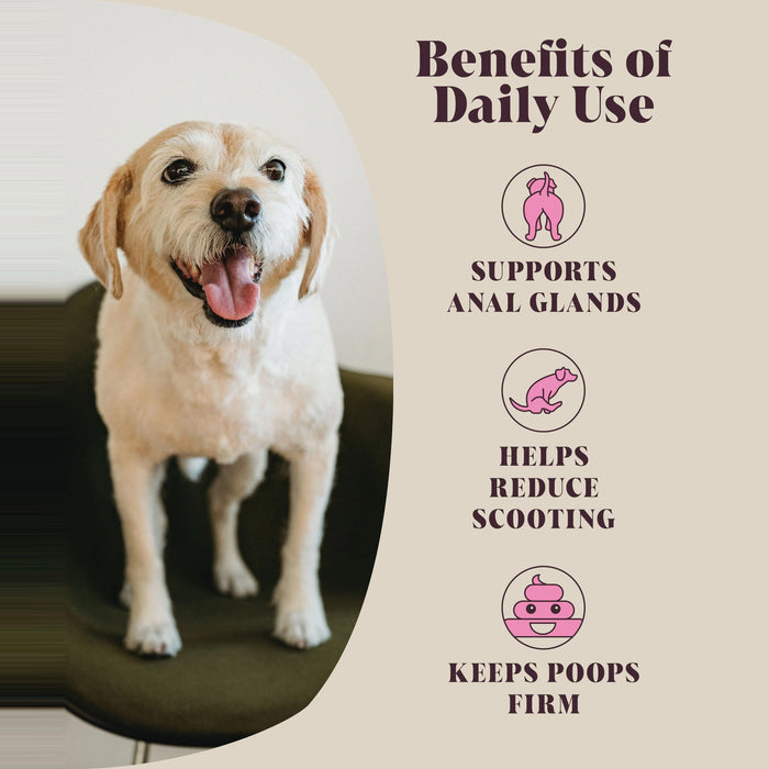 Anal Gland Fibre for Dogs