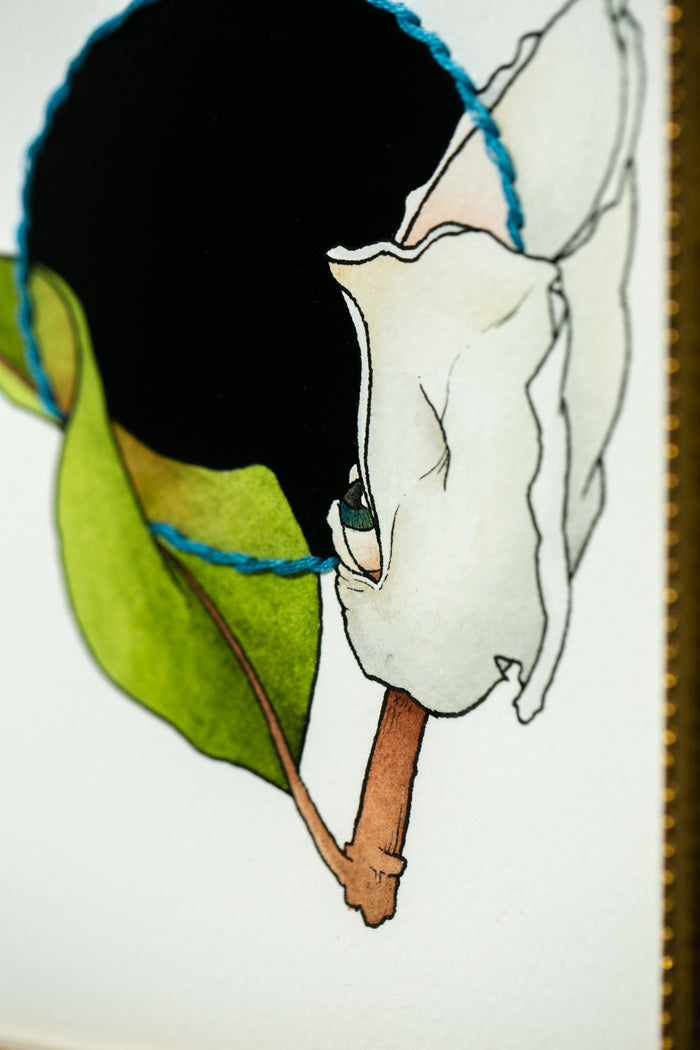 apparition eyes v.1