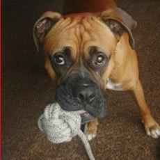 Basjan's Balls Premium Hand-Woven Dog Toy for Chewing and Playing