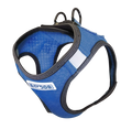 Bay Dog Liberty Harness Blue