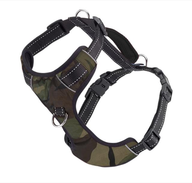 Camo / Small