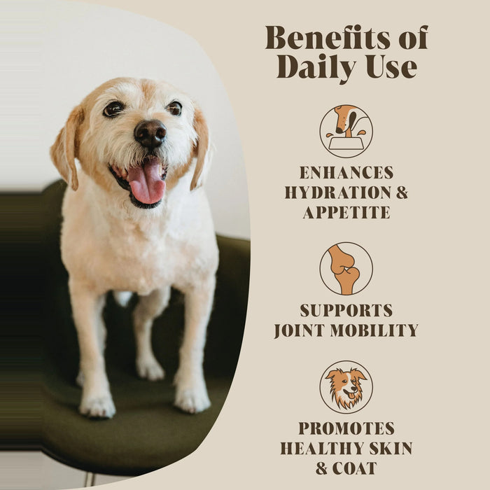 Beef Bone Broth for Dogs