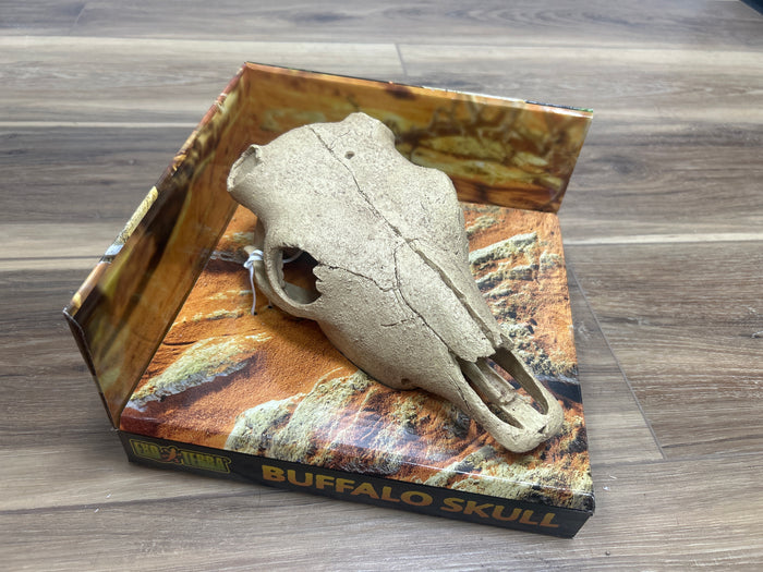 Buffalo Skull terrarium decor - Exo Terra