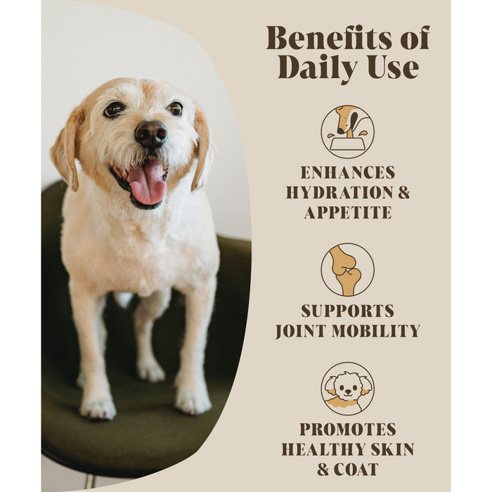 Chicken Bone Broth for Dogs