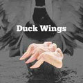 Duck Wings - 1Kg