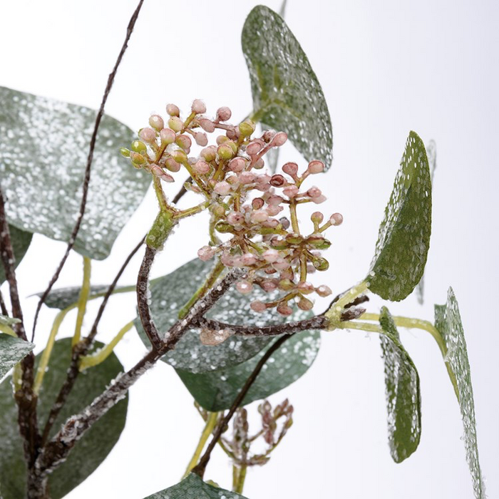 Eucalyptus Pinecone Pick