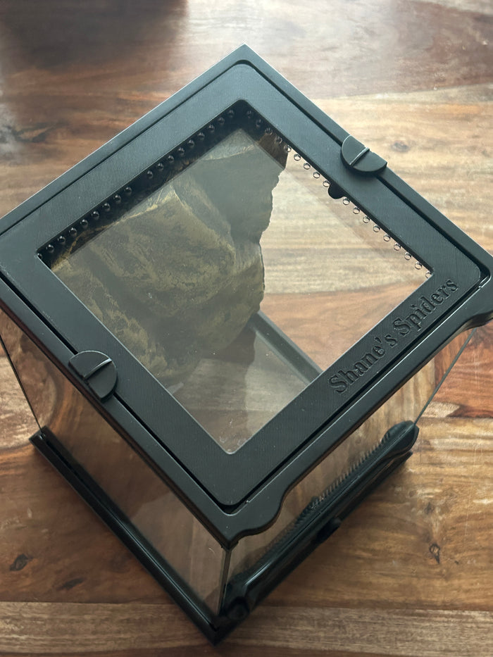 Exo Terra replacement top 8x8”