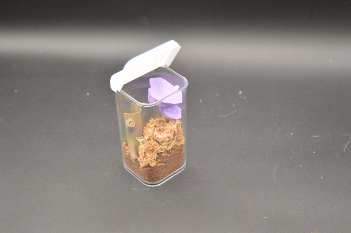 Flip Top Square Vial