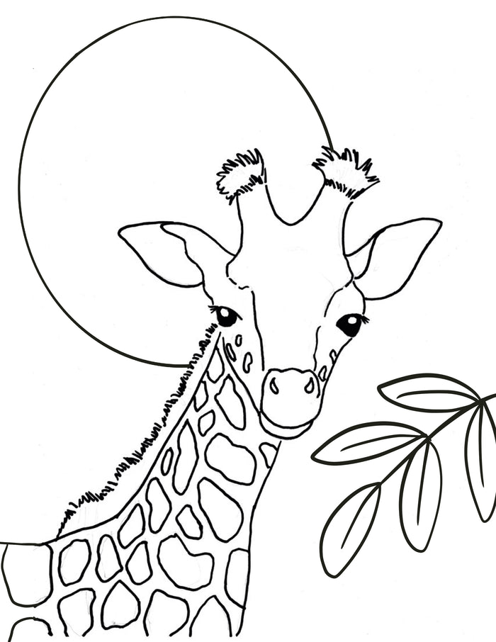 Giraffe Sunset Canvas