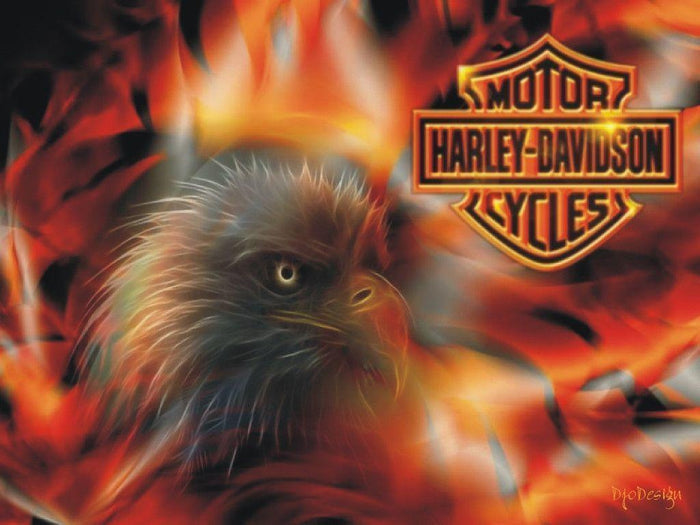 Harley Eagle Diamond Painting Kit - DIY