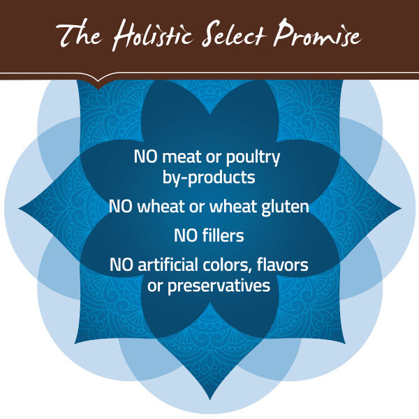 Holistic Select Natural Adult Health Large & Giant Breed Chicken Meal and Oatmeal Dry Dog Food