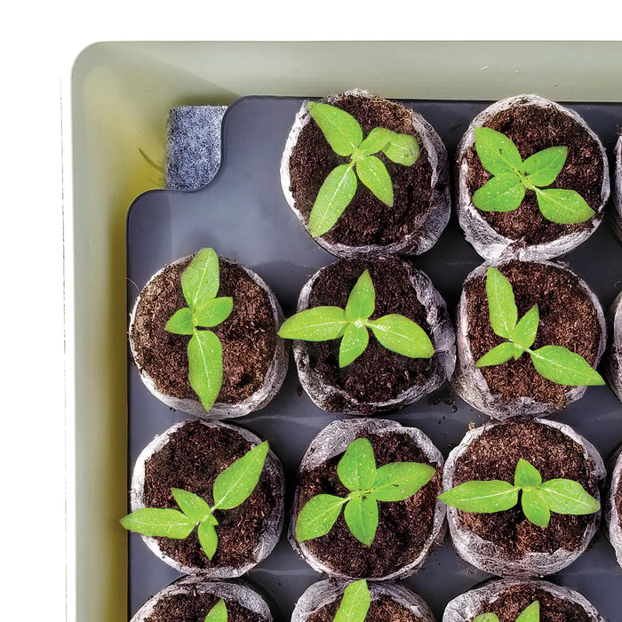 Jiffy Self-Watering Seed Starting Kit 34 Cell 36mm Peat Pellets