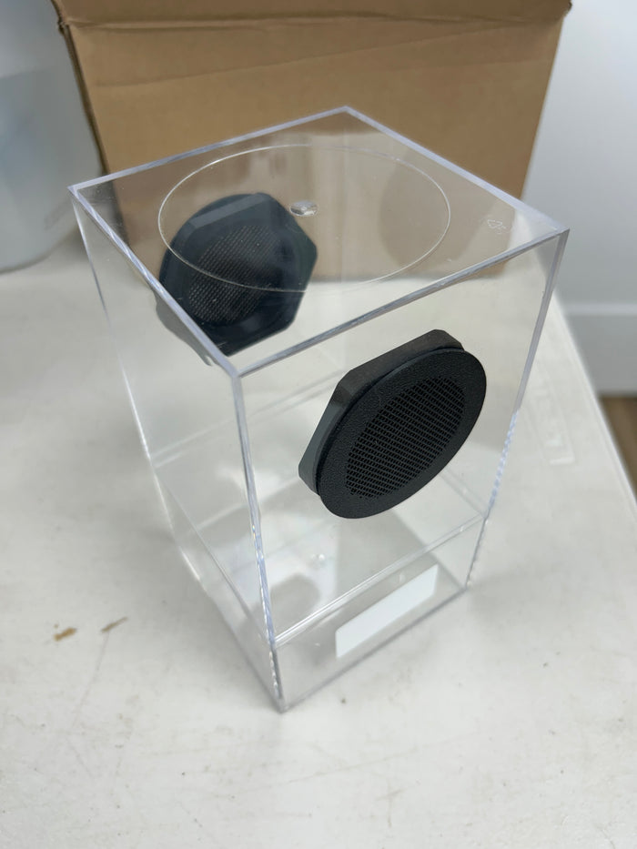 Juvenile Aviculariianae Enclosure