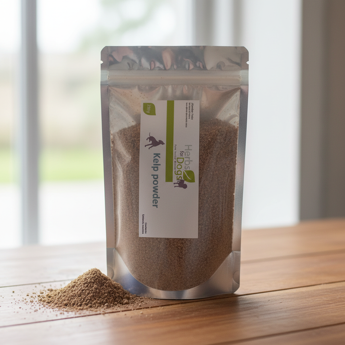 Kelp Powder - Improved