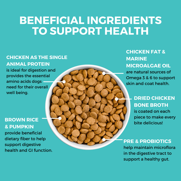 Koha Limited Ingredient Dry Bland Diet Chicken & Brown Rice Recipe with Pumpkin for Dogs