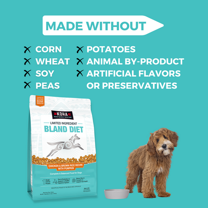 Koha Limited Ingredient Dry Bland Diet Chicken & Brown Rice Recipe with Pumpkin for Dogs