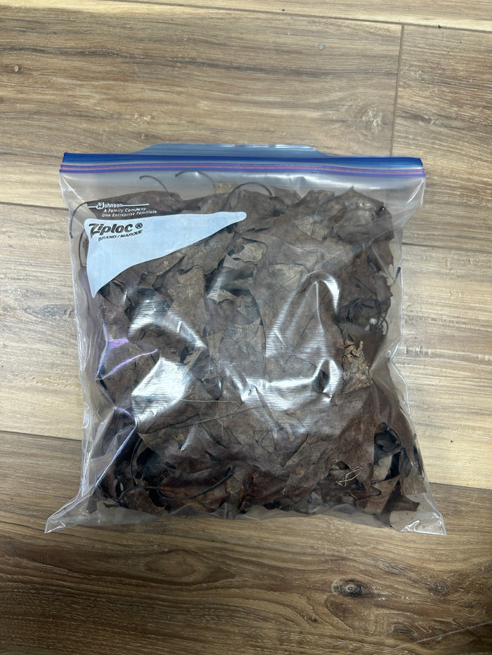 Leaf Litter - Black Oak