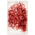 Buy Aquatic Live Food online UK
