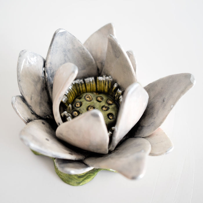 Lotus