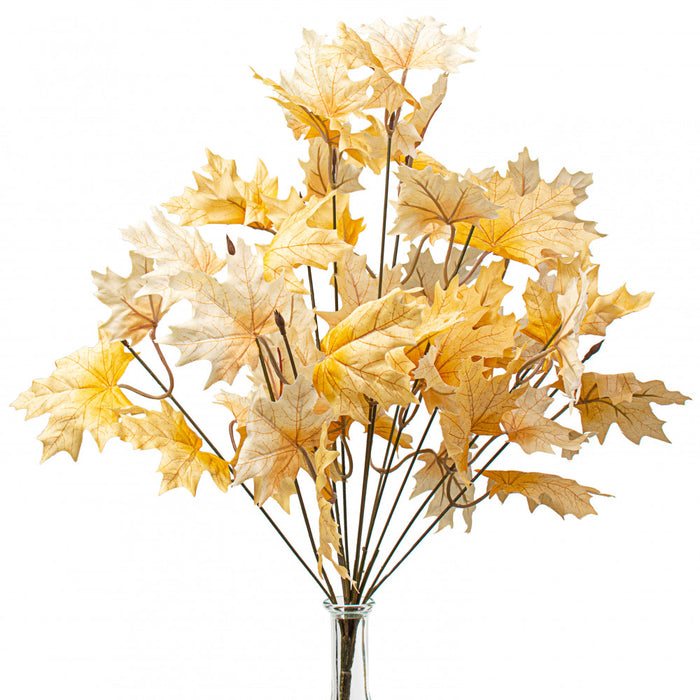 Maple Leaf Bush