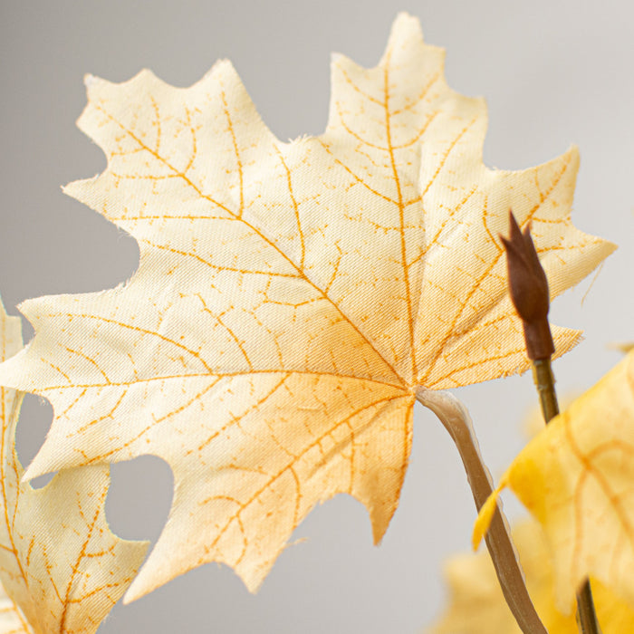 Maple Leaf Bush