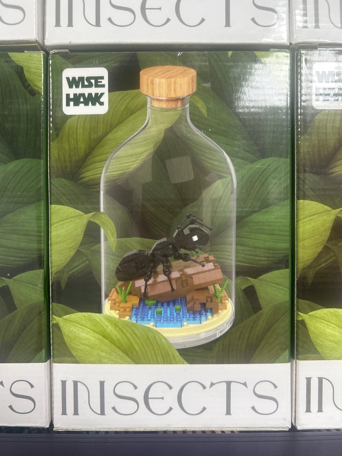 Ant