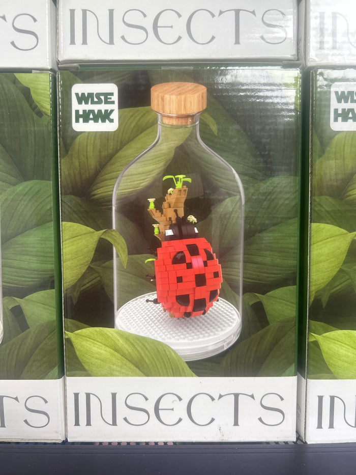 Lady Bug