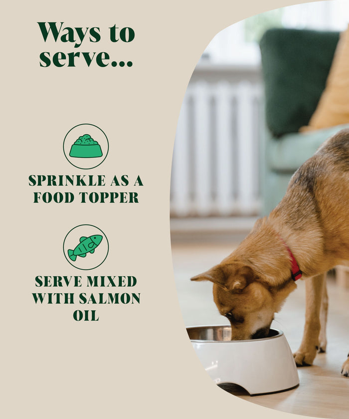 Natural Flea & Tick For Dogs