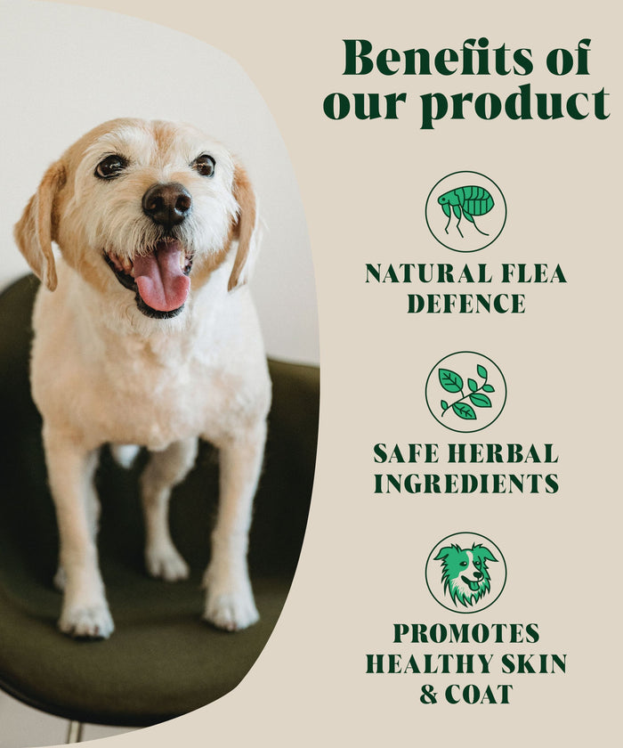 Natural Flea & Tick For Dogs