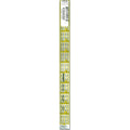 Omnigrid 1" Ruler
