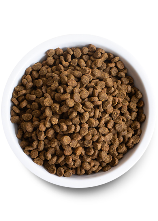 Open Catch-of-the-Season Whitefish Dry Cat Food