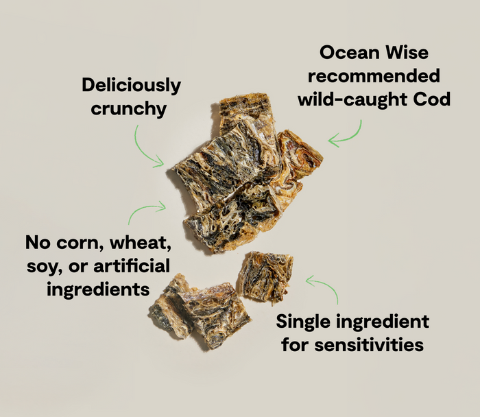 Open Farm Dehydrated Cod Skins Dog Treats