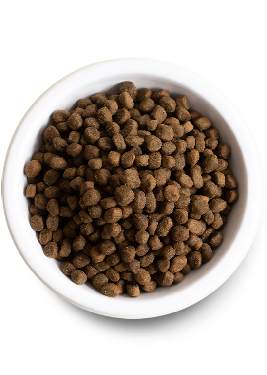 Open Farm Kind Earth Premium Plant Kibble Recipe Dry Dog Food