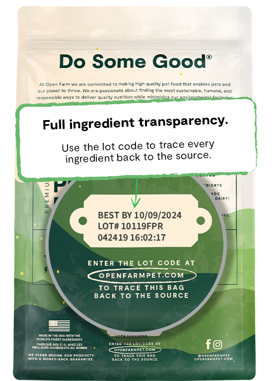 Open Farm Kind Earth Premium Plant Kibble Recipe Dry Dog Food