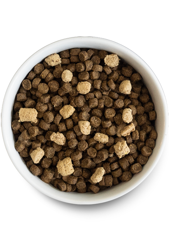 Open Farm Open Prairie Ancient Grains RawMix for Dogs