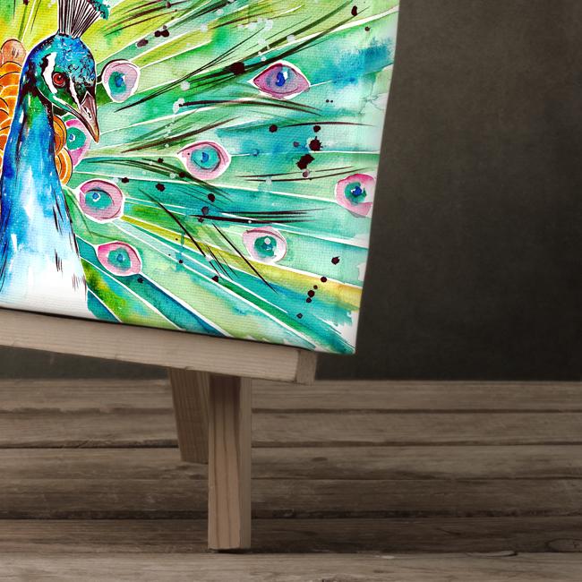 "peacock-2"