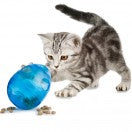 PetSafe Egg-Cersizer™ Cat Toy