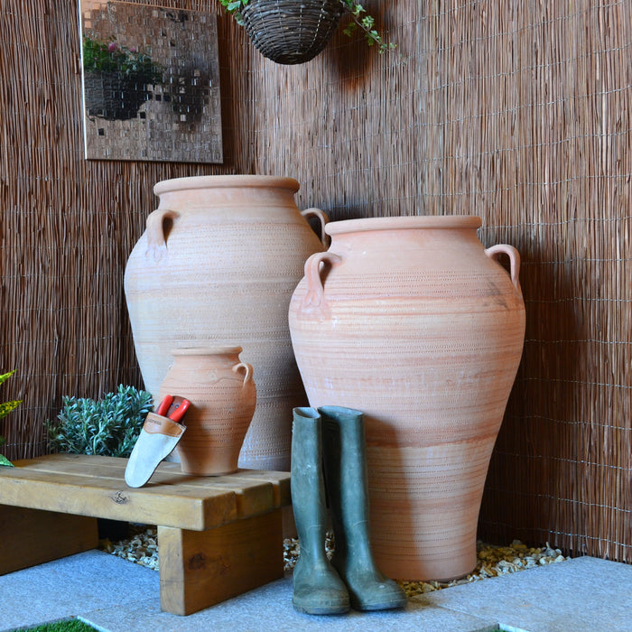 Buy Pithos Cretan Terracotta Pot online UK