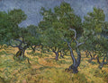 Plantation d oliviers 1 1889
