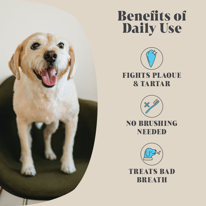 Plaque Seaweed Powder for Dogs