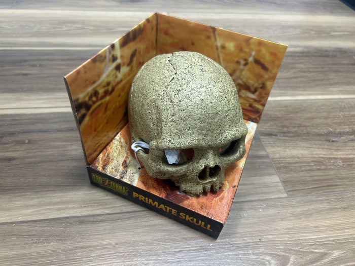Primate Skull terrarium decor - Exo Terra