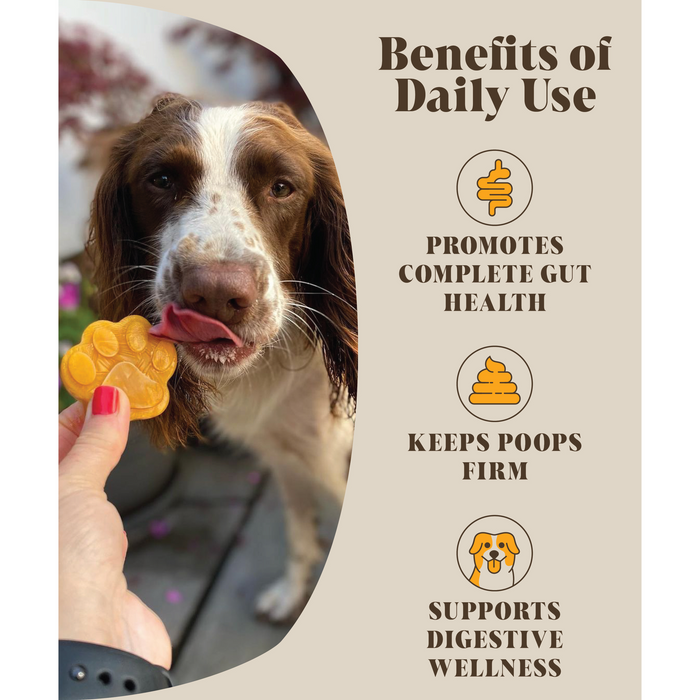 pumpkin puree for dogs