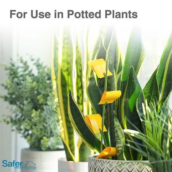 Safer® Home Houseplant Sticky Stakes