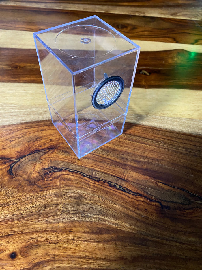 Spiderling Aviculariianae Enclosure