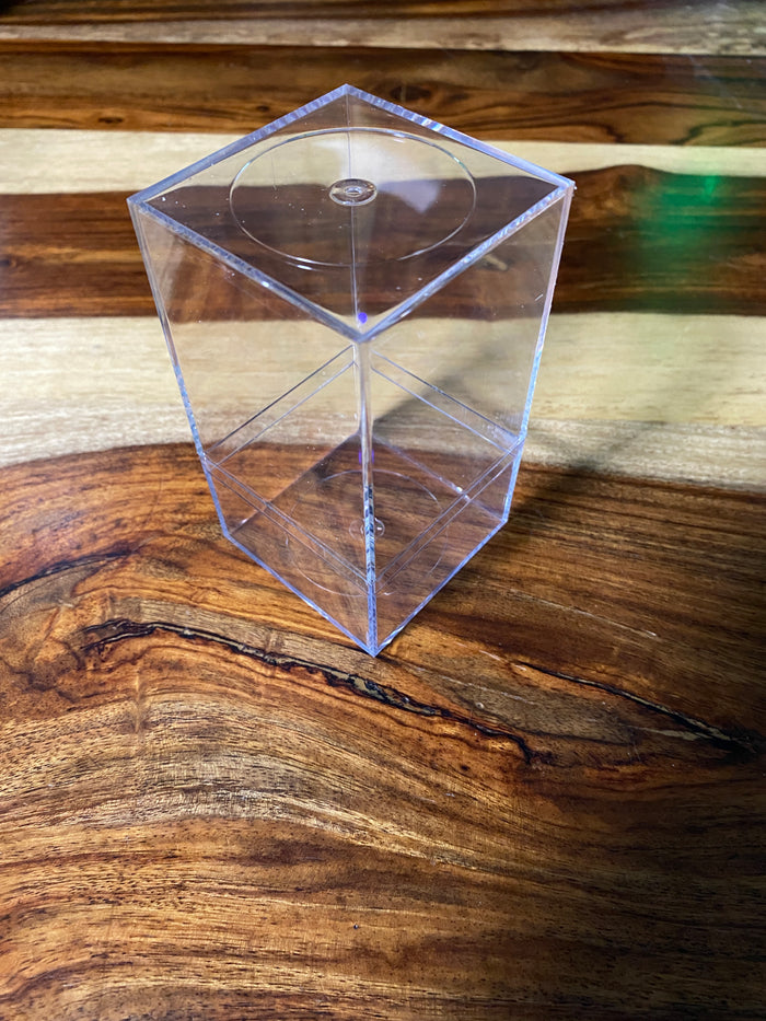 Spiderling Aviculariianae Enclosure