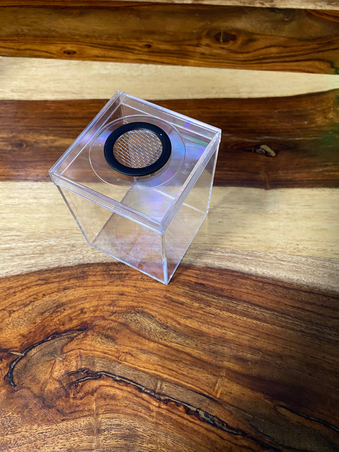 Spiderling Terrestrial Enclosure