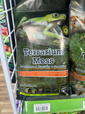 Terrarium Moss - Galapagos