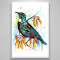 "tui-kowhai"
