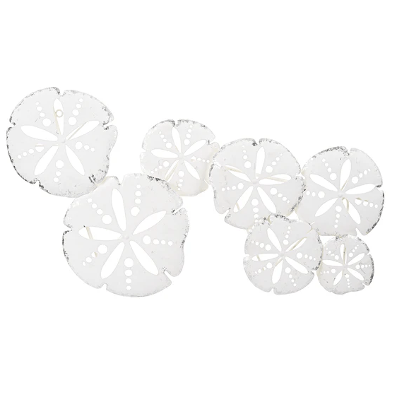 Wall Décor - White and Silver Sand Dollars